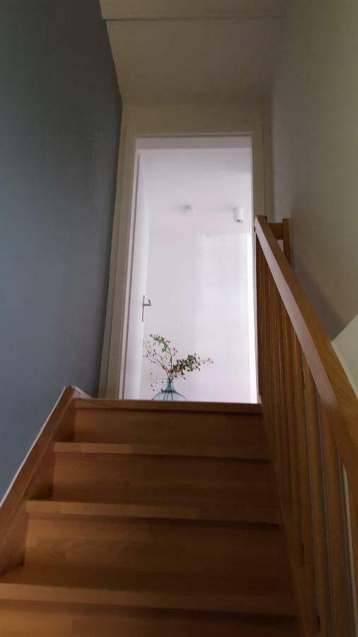 Villa Haus Zum Wilden Manne à Erfurt Extérieur photo
